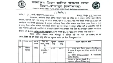 Bijapur Vacancy 2025, Chhattisgarh Government Jobs, Skill Development Jobs CG, DEO Recruitment Bijapur, CG Assistant Grade 3 Jobs, Collector Office Bijapur Vacancies, Peon Jobs in CG, Bijapur Contract Jobs